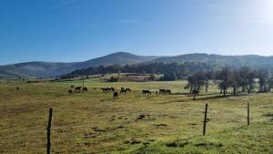 Gallery image of Horse Trail Plitvice in Turjanski