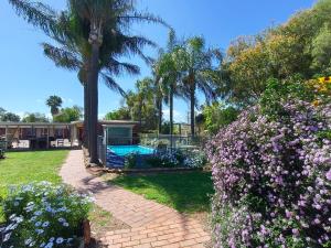 a garden with a swimming pool and flowers at Red Chief Motel in Gunnedah