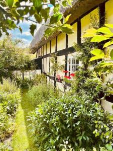 LeintwardineにあるTawny Owl Barnの黄色と黒の家とその前に植物がある