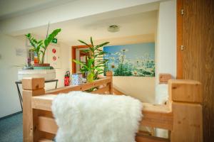 Φωτογραφία από το άλμπουμ του Hotel Wildbach Brienz σε Brienz