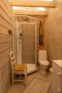 a bathroom with a shower and a toilet at Vėtrungių Namai in Nida