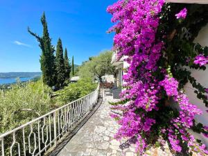 Paesaggio naturale nelle vicinanze della villa