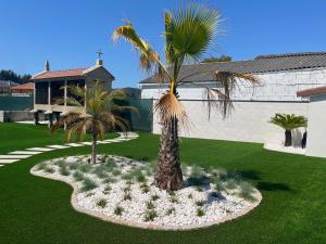 a palm tree in a garden with white flowers at Casa Sarita in Pontevedra