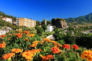 a bunch of flowers in a park with buildings at Honey Hill Villa in Përmet