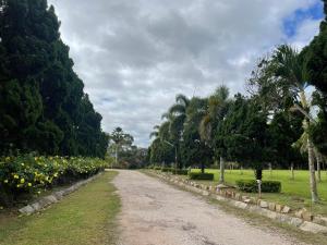 Zahrada ubytování Phuphamok Valley Resort