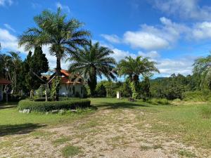 Příroda nedaleko rezortu + 67 fotografií