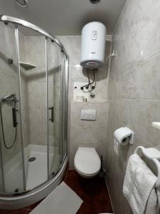 Koupelna v ubytování Apartments Villa Simoni