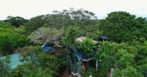 Landskap semula jadi dekat dengan lodge