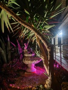 a garden with a bench and plants and purple lights at Apartments Ranko in Zavalatica