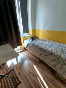 Billede fra billedgalleriet på Mickiewicza Hostel i Katowice