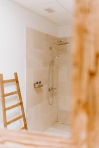 a bathroom with a shower with a ladder in it at Suite de charme avec jacuzzi et cabine infrarouge in Tubize