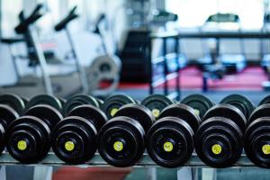 Fitness centrum a/nebo fitness zařízení v ubytování Apartmany Fit Gym