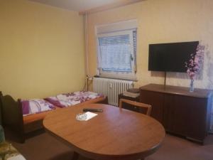 Μια τηλεόραση ή/και κέντρο ψυχαγωγίας στο Monteurwohnung Patzer