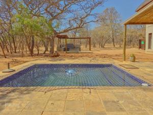 a swimming pool in the middle of a yard at Rhino Lodge at Zebula in Mabula
