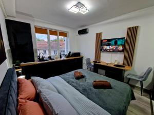 a bedroom with a bed and a desk and a television at Modern Studio 2 in Onești