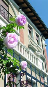 un grupo de rosas rosas al lado de un edificio en Boutique Apartment Casa Angela en Udine