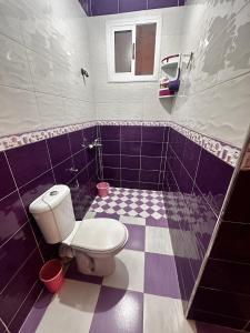 a bathroom with a toilet and purple and white tiles at Apartamento terraza con vistas al mar in M'diq +1 photo