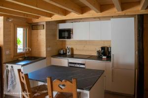 cocina pequeña con encimera y fogones en La Grange des Aiguilles, en Albiez-le-Jeune