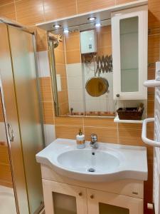 a bathroom with a sink and a shower at Asinela Home с гараж in Burgas City