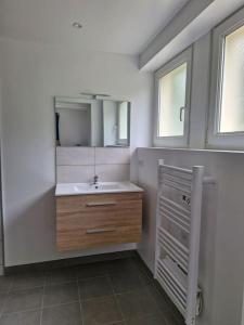 a bathroom with a sink and two windows at Magnifique appartement Jonquille in Xonrupt-Longemer +1 photo