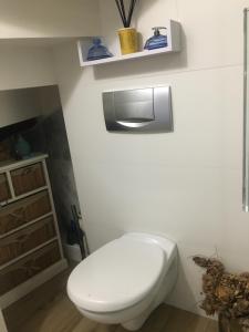a bathroom with a white toilet in a room at LE ROSSIGNOL in Cranves-Sales
