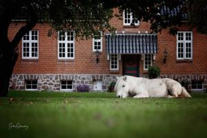 Fotografie z fotogalerie ubytování Søstgård B&B v destinaci Rødekro