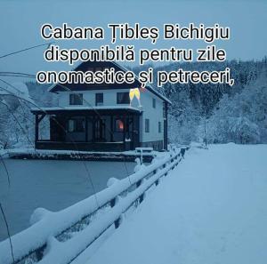 Το Cabana Țibleș Bichigiu τον χειμώνα +2 φωτογραφίες