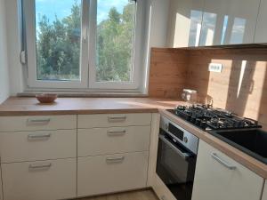 Kuchyň nebo kuchyňský kout v ubytování Apartma Dea