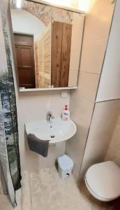 Un baño con lavabo, inodoro y espejo. en Jonas Old Town Apartment, en Košice