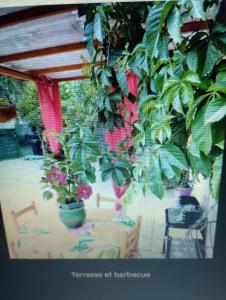 a patio with plants and a table and chairs at Entre mer et cevennes in Boisseron