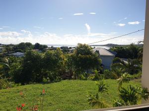 a view of a yard with a view of the ocean at Le Latanier bleuté in Beauregard