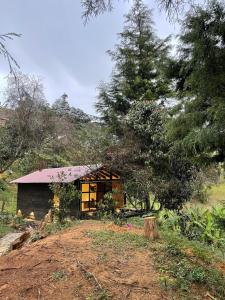 Paesaggio naturale nelle vicinanze della villa