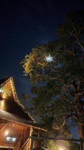 Photo de la galerie de l'établissement Sayang Di Kaki Bukit, à Bukit Mertajam