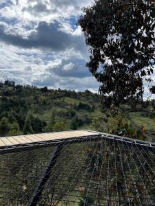 Paesaggio naturale nelle vicinanze della villa