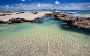 an aerial view of a beach with rocks and water at Vento Leste Suites in Flecheiras