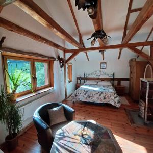 une chambre avec un lit et un canapé dans une pièce dans l'établissement Dziupla, à Świeradów-Zdrój