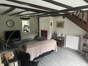 un salon avec un lit et une télévision dans l'établissement Gite Les Quatre Alouettes, à Mazières-de-Touraine