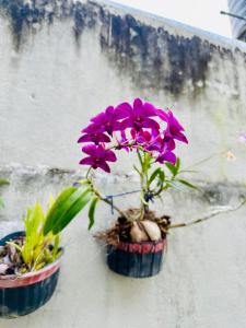 Fotografie z fotogalerie ubytování R Villa Unawatuna v destinaci Unawatuna