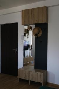 Köök või kööginurk majutusasutuses Aria Apartman Sokobanja
