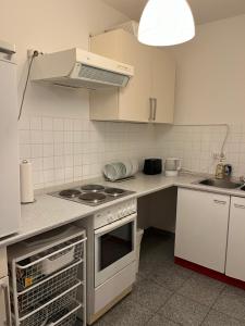 Kuchyň nebo kuchyňský kout v ubytování Leo Flat