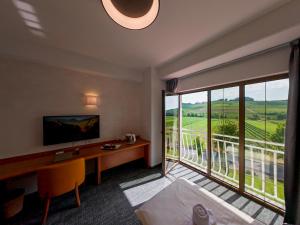 TV a/nebo společenská místnost v ubytování Hotel Venko