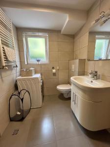 a bathroom with a sink and a toilet and a window at Apartman Iva in Posušje +12 photos