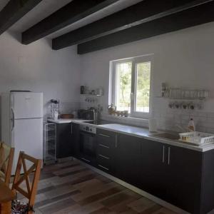 a kitchen with black cabinets and a white refrigerator at Casa Davina in Sasca Montană