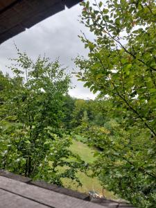 Paesaggio naturale nelle vicinanze del campeggio