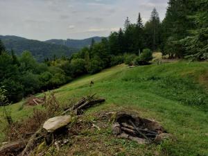 Paesaggio naturale nelle vicinanze del campeggio