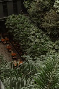 Puutarhaa majoituspaikan The Click Clack Hotel Medellín ulkopuolella
