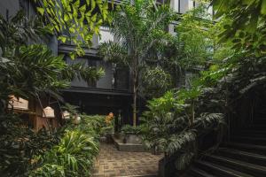 Puutarhaa majoituspaikan The Click Clack Hotel Medellín ulkopuolella