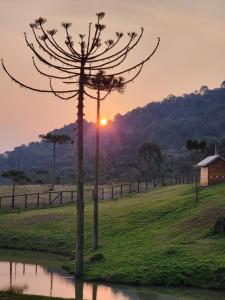 Gallery image of Pousada Pinha Pinhão Excluisive in Mundo Novo