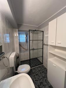 a white bathroom with a shower and a toilet at Lemon Tree in Agios Vlasios