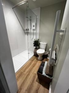 a bathroom with a toilet and a glass shower at Little Pear Tree Studio in Stock